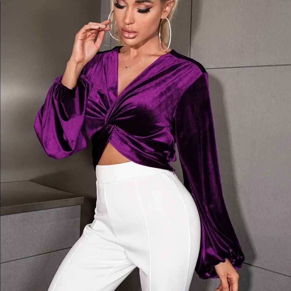 Gorgeous Rich Purple Long Sleeve Velvet Crop Top - Picture 3 of 4